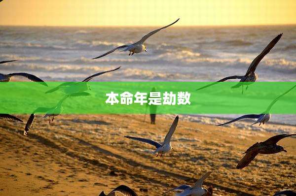 本命年是劫数