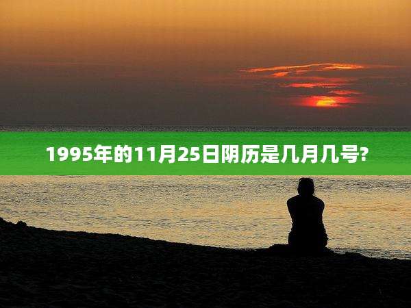 1995年的11月25日阴历是几月几号?