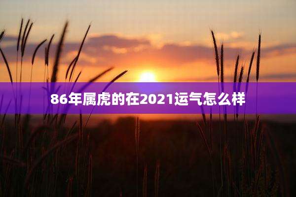 86年属虎的在2021运气怎么样