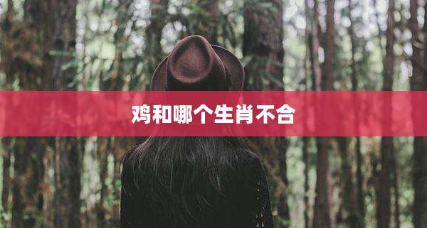 鸡和哪个生肖不合
