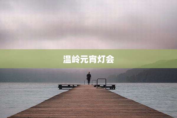 温岭元宵灯会