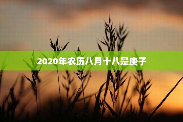 2020年农历八月十八是庚子