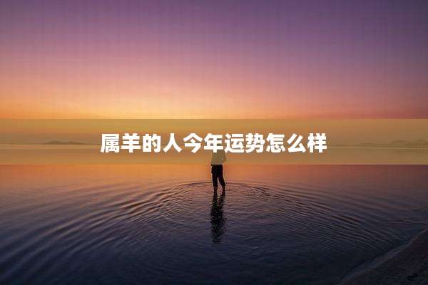 属羊的人今年运势怎么样