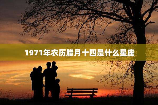 1971年农历腊月十四是什么星座