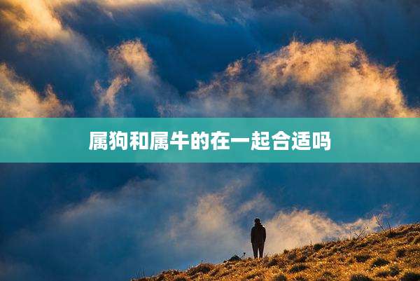 属狗和属牛的在一起合适吗