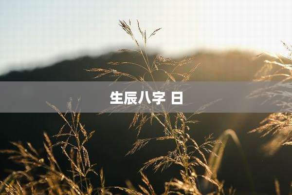 生辰八字 日