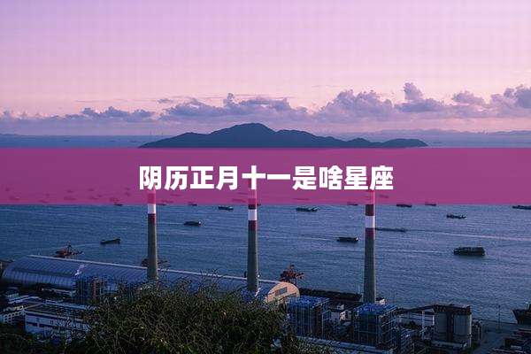 阴历正月十一是啥星座