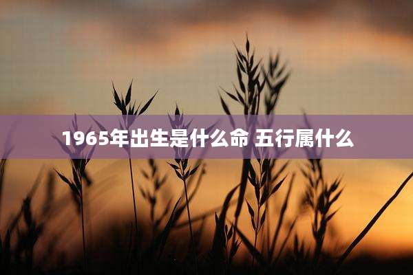 1965年出生是什么命 五行属什么