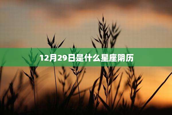 12月29日是什么星座阴历
