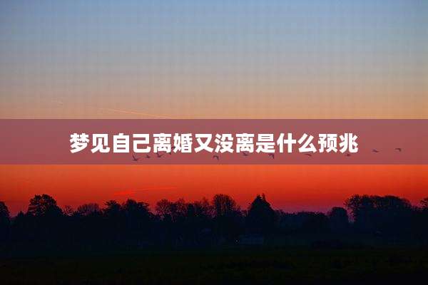 梦见自己离婚又没离是什么预兆