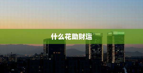 什么花助财运