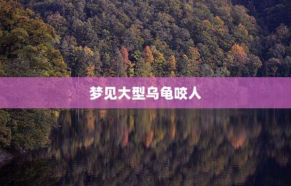 梦见大型乌龟咬人