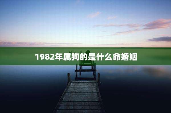 1982年属狗的是什么命婚姻