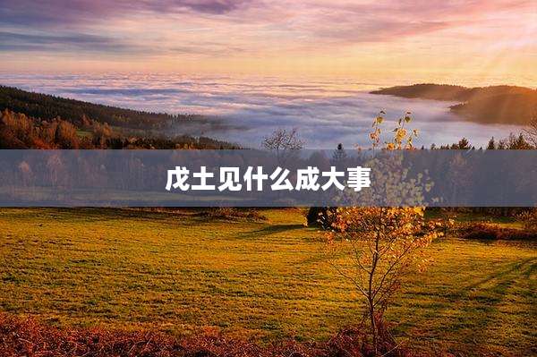 戊土见什么成大事
