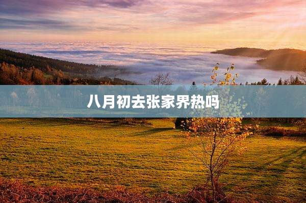八月初去张家界热吗