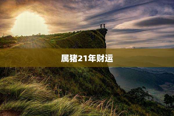 属猪21年财运