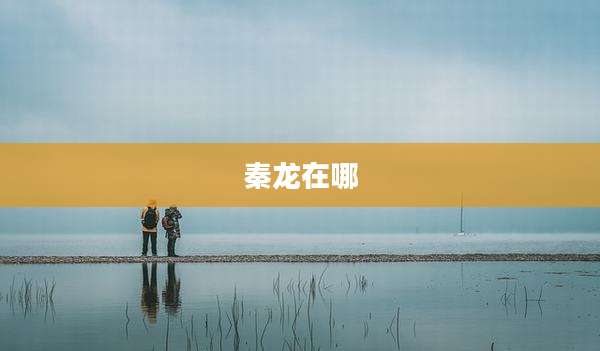 秦龙在哪
