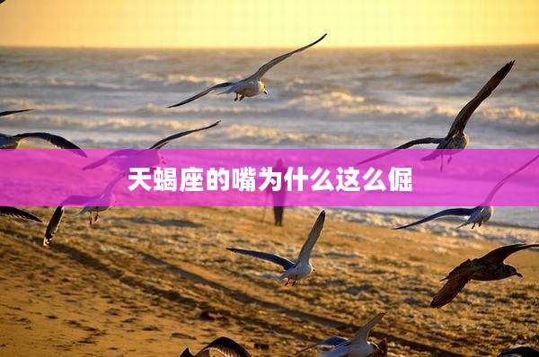 天蝎座的嘴为什么这么倔