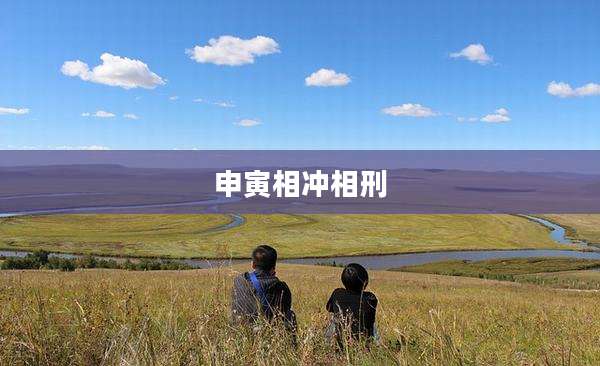 申寅相冲相刑