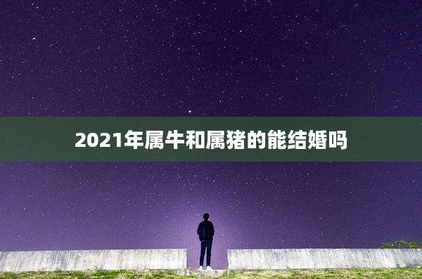 2021年属牛和属猪的能结婚吗