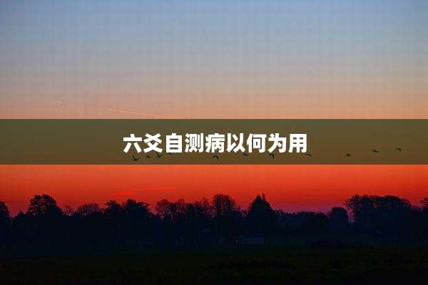 六爻自测病以何为用