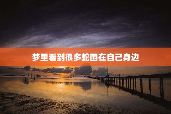 梦里看到很多蛇围在自己身边