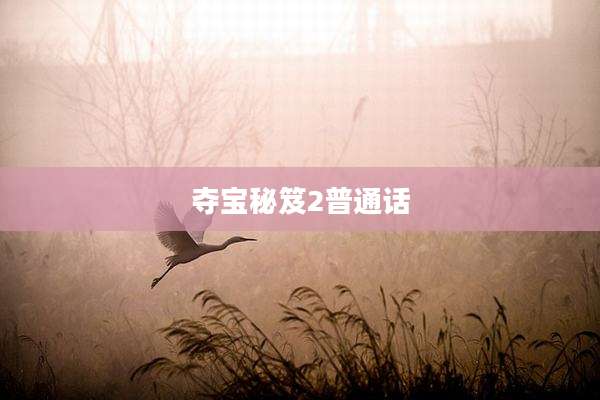 夺宝秘笈2普通话