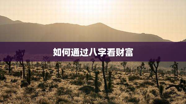 如何通过八字看财富