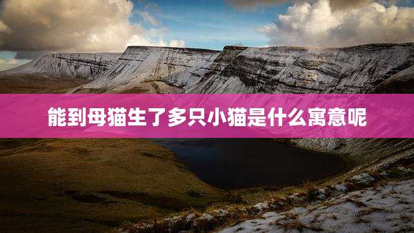 能到母猫生了多只小猫是什么寓意呢