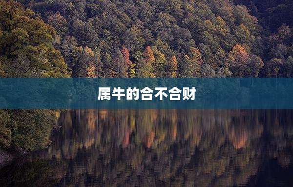 属牛的合不合财