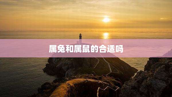 属兔和属鼠的合适吗