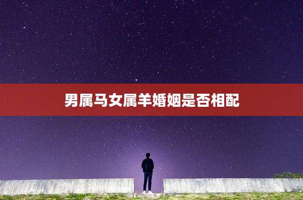 男属马女属羊婚姻是否相配