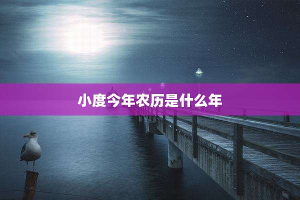 小度今年农历是什么年