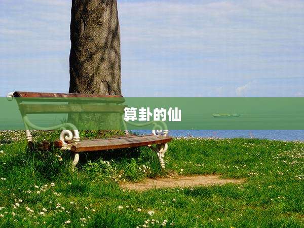 算卦的仙