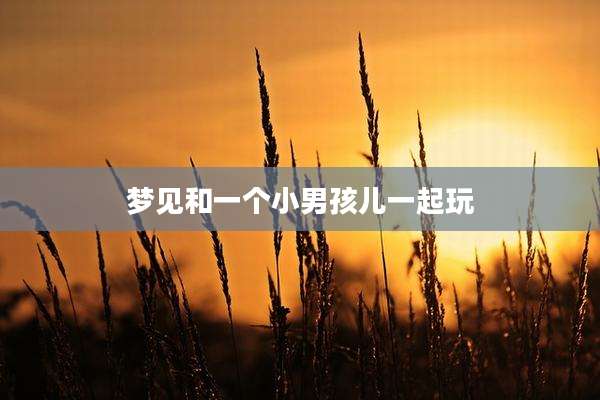 梦见和一个小男孩儿一起玩