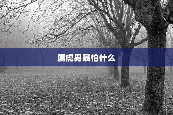 属虎男最怕什么