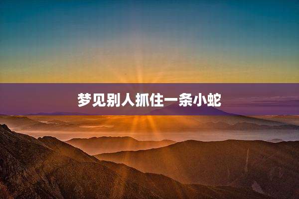 梦见别人抓住一条小蛇