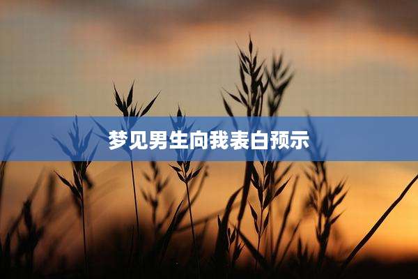 梦见男生向我表白预示