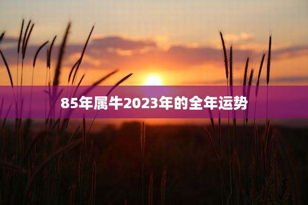 85年属牛2023年的全年运势