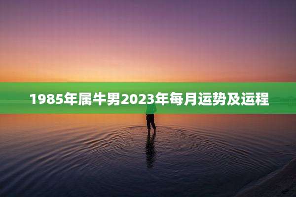 1985年属牛男2023年每月运势及运程