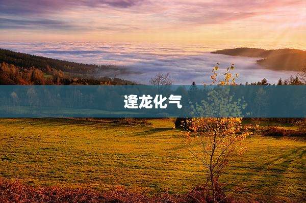 逢龙化气