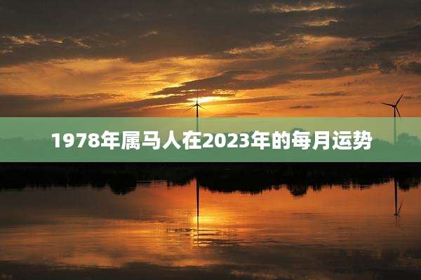 1978年属马人在2023年的每月运势
