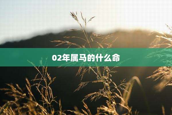 02年属马的什么命
