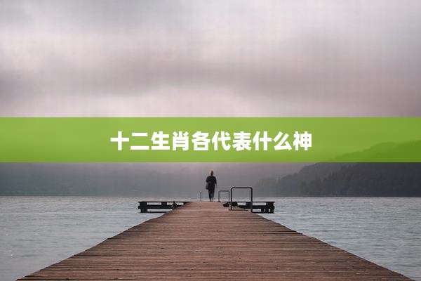 十二生肖各代表什么神