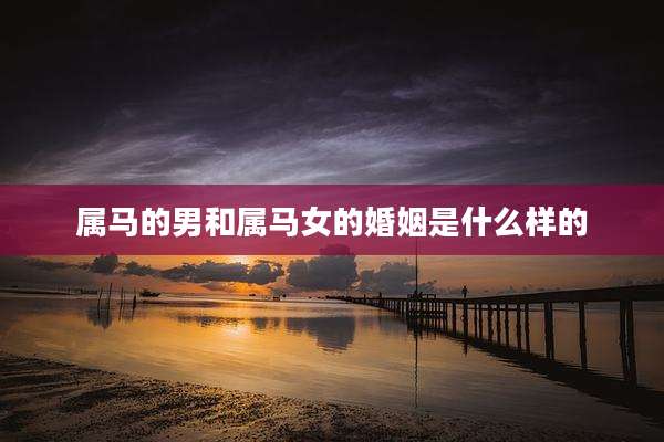 属马的男和属马女的婚姻是什么样的