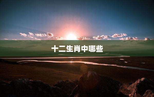 十二生肖中哪些