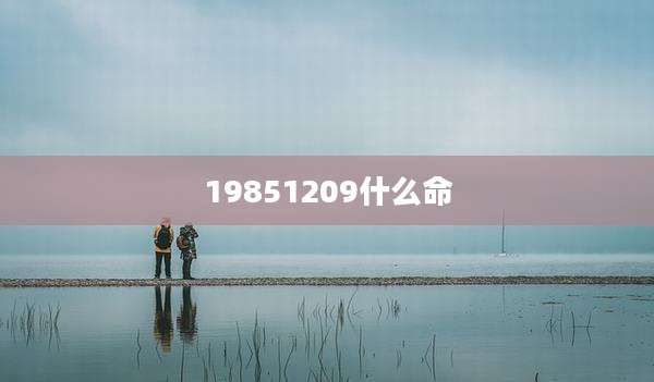 19851209什么命