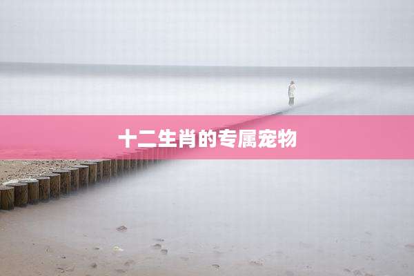 十二生肖的专属宠物