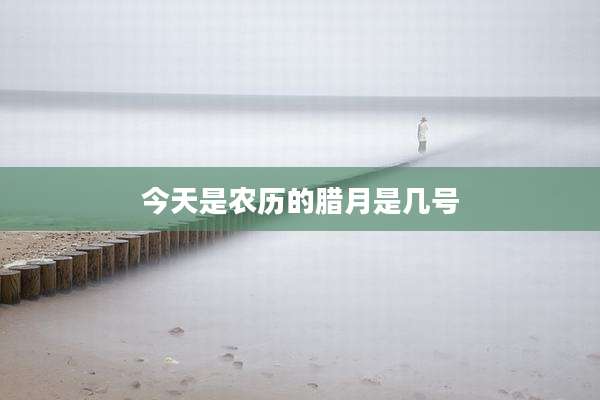 今天是农历的腊月是几号