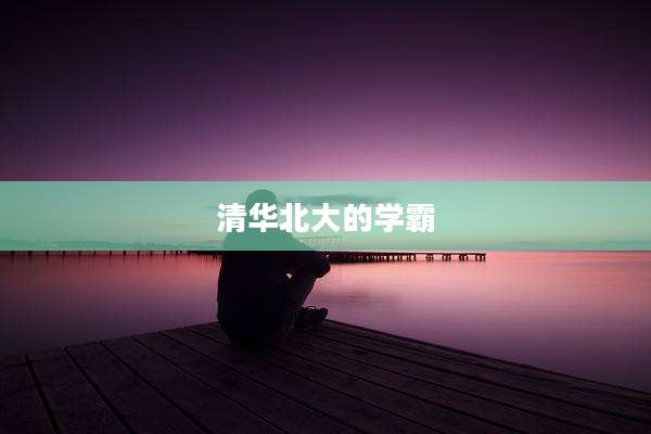 清华北大的学霸